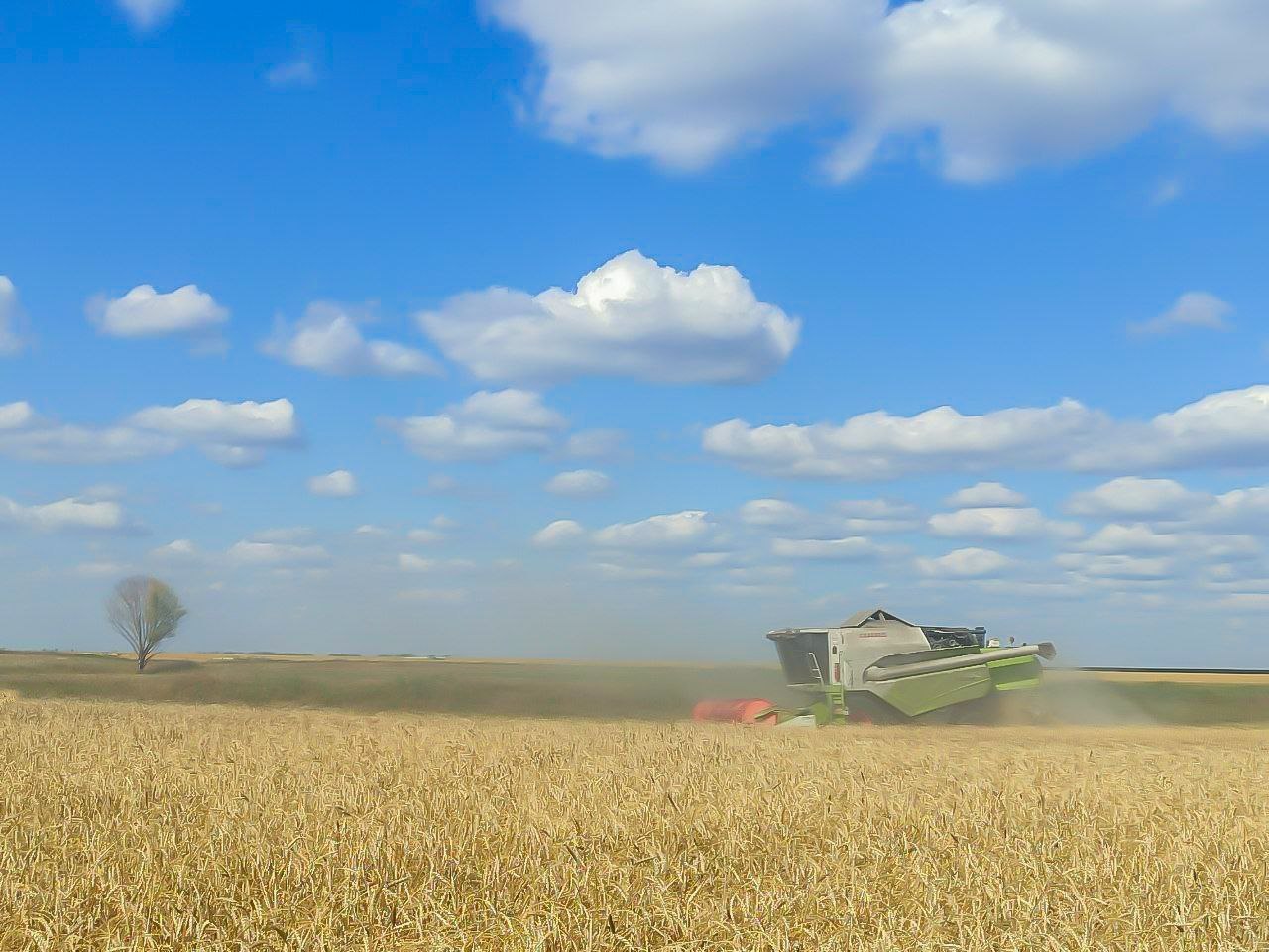 Аграрии Балашовского района собрали 200 тысяч тонн зерна